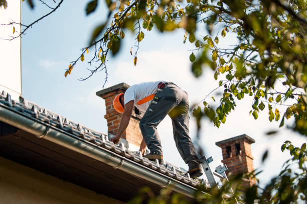 Best Roof Gutter Cleaning  in Mojave, CA